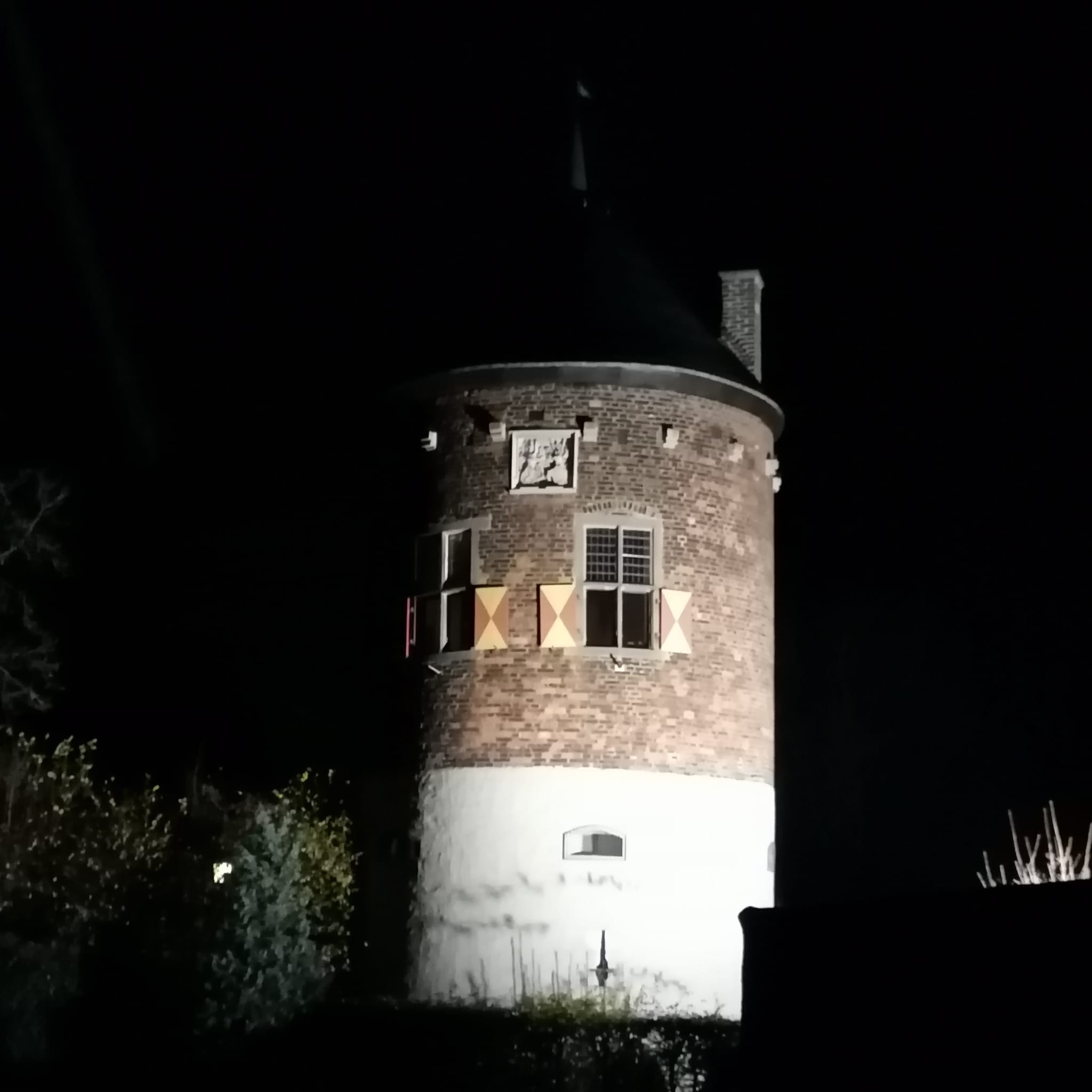 Bild vom Burgturm in Davensberg